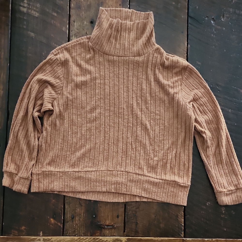 Cozy Tan (Orange Hue) Turtleneck Sweater